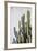 Estremoz-Alan Copson-Framed Giclee Print