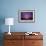 Estuarine River Inlet Running across Mudflats at Dawn, Morecambe Bay, Cumbria, UK, February-Peter Cairns-Framed Photographic Print displayed on a wall