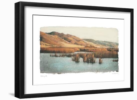 Estuary II-Amy Melious-Framed Art Print