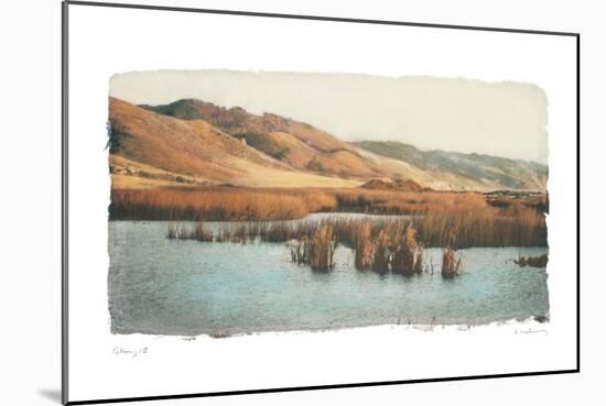 Estuary II-Amy Melious-Mounted Art Print