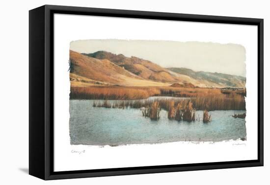 Estuary II-Amy Melious-Framed Stretched Canvas