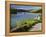 Estuary of the River Avon, Bantham, Bigbury on Sea, Devon, England, United Kingdom, Europe-David Hughes-Framed Premier Image Canvas