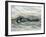 Estuary-Silvia Vassileva-Framed Art Print