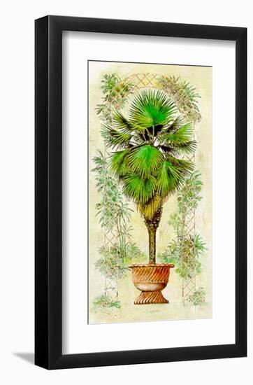 Estudio de Palmeras I-A^ Vega-Framed Art Print