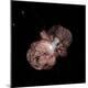 Premium Photographic Print
