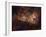 Eta Carinae-Stocktrek Images-Framed Photographic Print