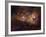 Eta Carinae-Stocktrek Images-Framed Photographic Print