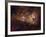 Eta Carinae-Stocktrek Images-Framed Photographic Print