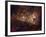 Eta Carinae-Stocktrek Images-Framed Photographic Print