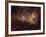 Eta Carinae-Stocktrek Images-Framed Photographic Print