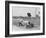Étancelin in His Maserati at the Dieppe Grand Prix, France, 22 July 1934-null-Framed Photographic Print