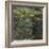 Etang Aux Nympheas, Pond with Water Lillies-Claude Monet-Framed Giclee Print