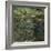 Etang Aux Nympheas, Pond with Water Lillies-Claude Monet-Framed Giclee Print