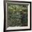 Etang Aux Nympheas, Pond with Water Lillies-Claude Monet-Framed Giclee Print