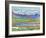 Etang Long Crans-Montana, 1915-Ferdinand Hodler-Framed Giclee Print