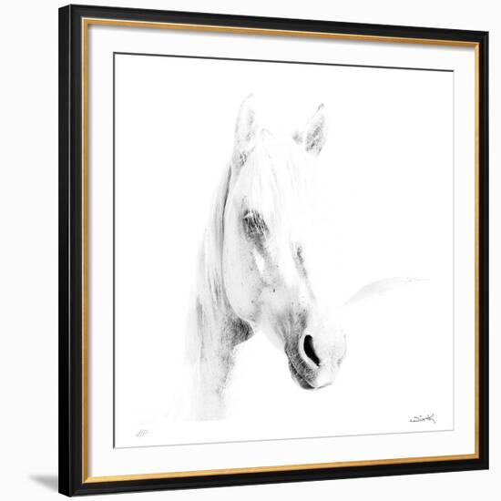 Etched-Wink Gaines-Framed Limited Edition