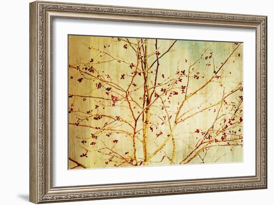 Etched-Andrew Michaels-Framed Art Print