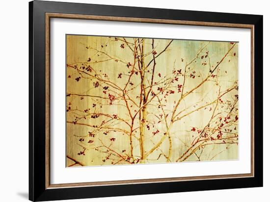 Etched-Andrew Michaels-Framed Art Print