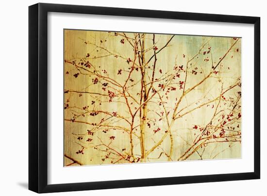 Etched-Andrew Michaels-Framed Art Print