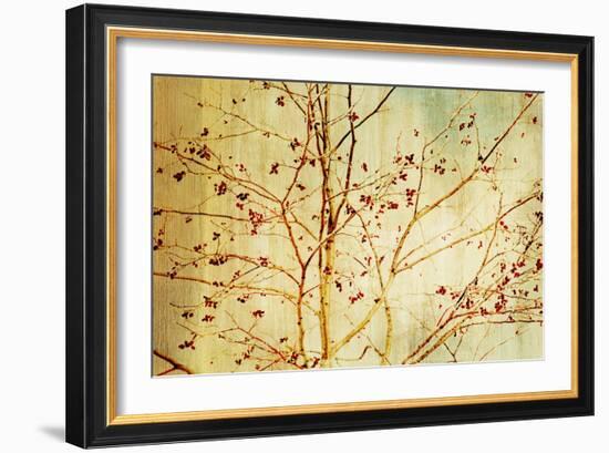 Etched-Andrew Michaels-Framed Art Print