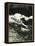 Etching of Outrigger Canoe, Hawaii-null-Framed Stretched Canvas