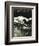 Etching of Outrigger Canoe, Hawaii-null-Framed Premium Giclee Print