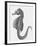 Etching of the Singular Little Species of Pipe Fish Known as the Sea Horse-null-Framed Photographic Print