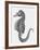 Etching of the Singular Little Species of Pipe Fish Known as the Sea Horse-null-Framed Photographic Print