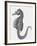Etching of the Singular Little Species of Pipe Fish Known as the Sea Horse-null-Framed Photographic Print