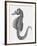 Etching of the Singular Little Species of Pipe Fish Known as the Sea Horse-null-Framed Photographic Print