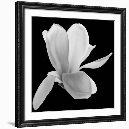 Eternal Guide, 2008-Hiroyuki Arakawa-Framed Photographic Print