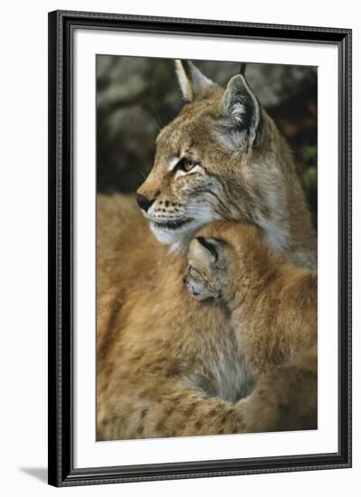 Eternal Love-Staffan Widstrand-Framed Giclee Print