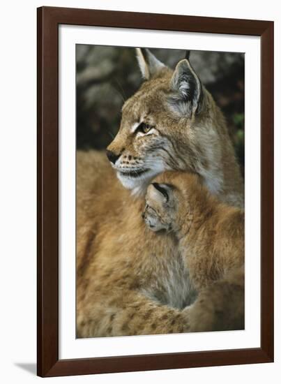 Eternal Love-Staffan Widstrand-Framed Giclee Print