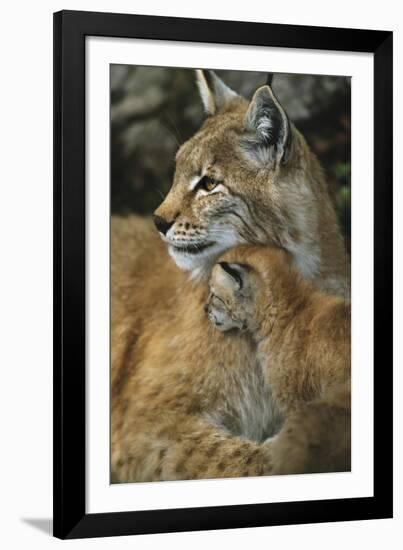 Eternal Love-Staffan Widstrand-Framed Giclee Print