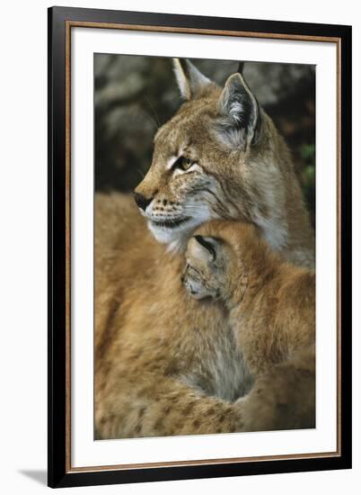 Eternal Love-Staffan Widstrand-Framed Giclee Print