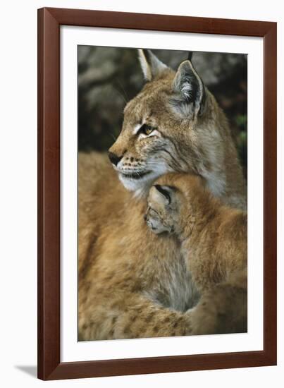 Eternal Love-Staffan Widstrand-Framed Giclee Print