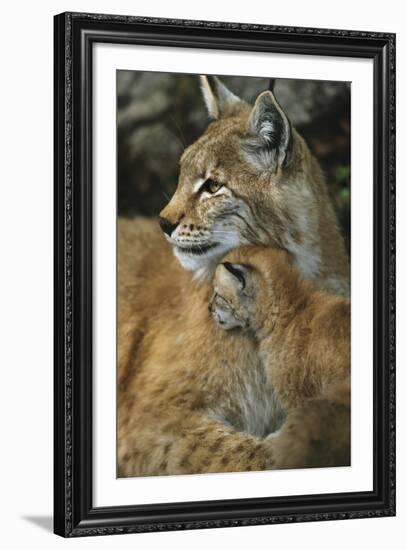 Eternal Love-Staffan Widstrand-Framed Giclee Print