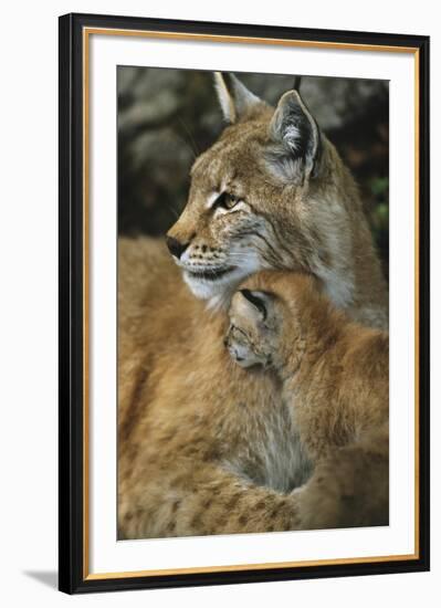 Eternal Love-Staffan Widstrand-Framed Giclee Print