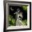 Eternal Love-Chris Miles-Framed Premium Giclee Print