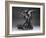 Eternal Spring, Bronze, Premier et at Cast 1924-Auguste Rodin-Framed Giclee Print