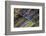 Eternity-Doug Chinnery-Framed Photographic Print