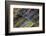 Eternity-Doug Chinnery-Framed Photographic Print