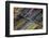 Eternity-Doug Chinnery-Framed Photographic Print