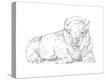 Stretched Canvas Print