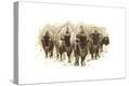 Stretched Canvas Print
