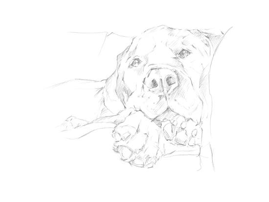 Art Print, , large