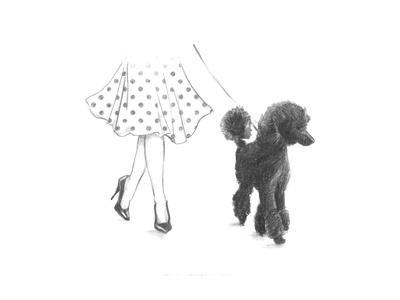 miniature poodle drawing