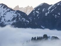 Coniferous Forest in Fog, Mount Baker-Snoqualmie National Forest, Washington.-Ethan Welty-Photographic Print