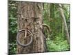Premium Photographic Print