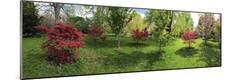 Premium Photographic Print